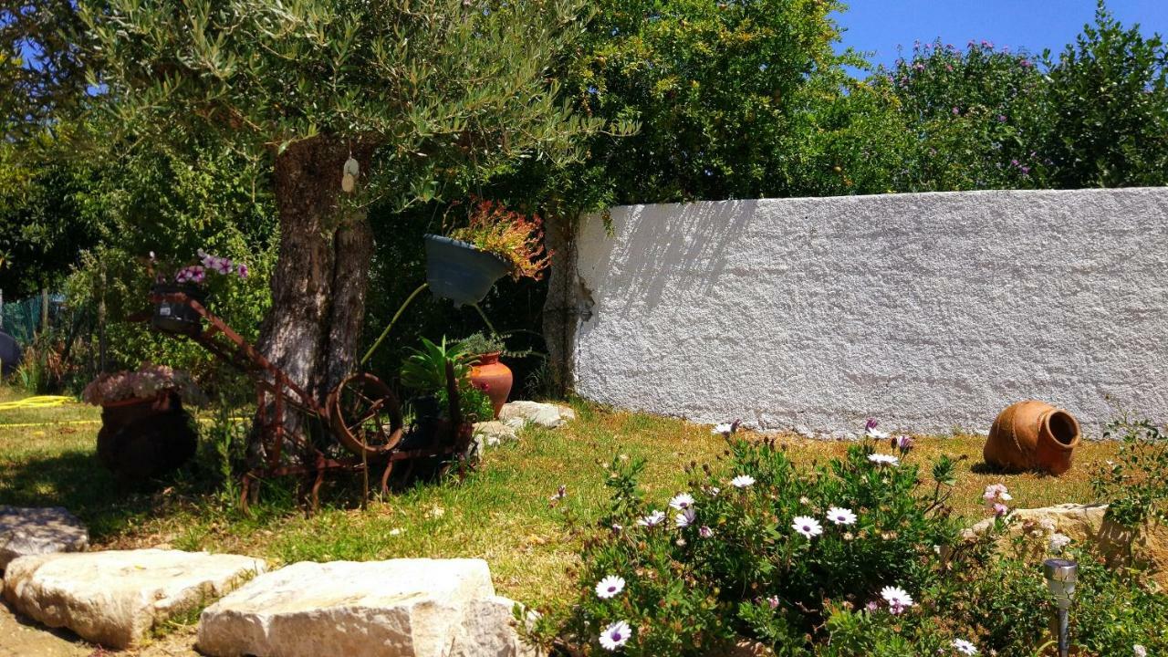 Louro'S Villa - 12130Al Cantanhede Exterior foto