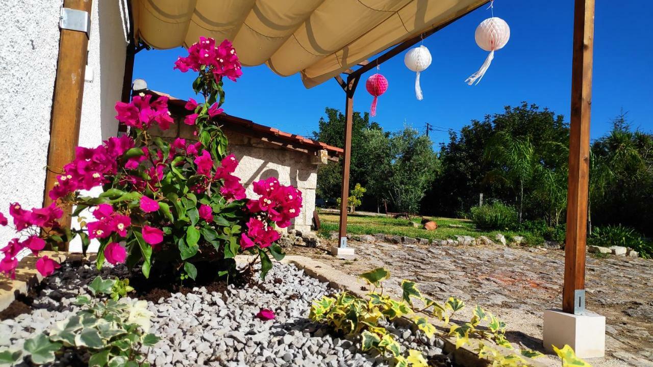 Louro'S Villa - 12130Al Cantanhede Exterior foto
